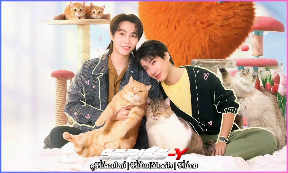 ซี รี่ ย์ วาย ไทย ทั้งหมด Cat for Cash
